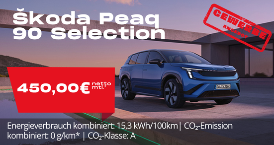 Angebot Peaq Gewerbe