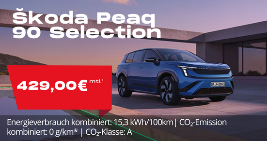 Angebot Peaq